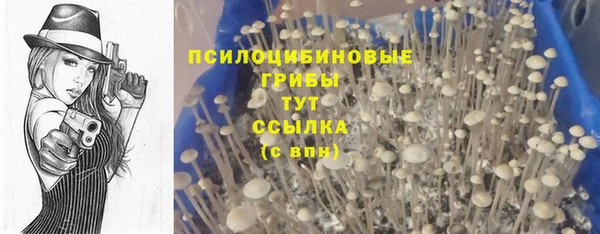 экстази Аркадак